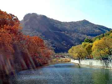 管家婆黑白马报图库，餐巾纸机器